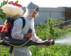Уничтожение клещей